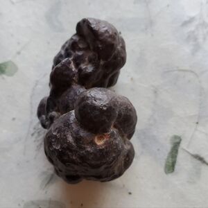 Prophecy Stone Rare 2" Raw Crystal